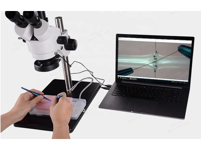 Mô hình thực hành phẫu thuật thần kinh (có kèm kính hiển vi)