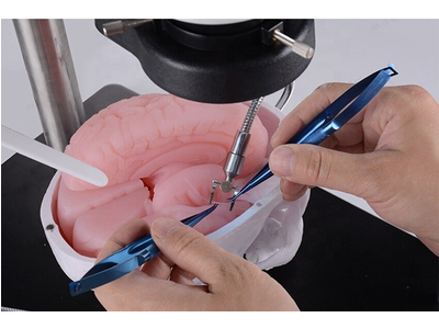 Mô hình thực hành phẫu thuật thần kinh (có kèm kính hiển vi)