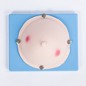 Mô hình thực hành thăm khám chọc dò tuyến vú