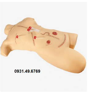 MÔ HÌNH THAY BĂNG CẮT CHỈ HONGLIAN GD/LV18