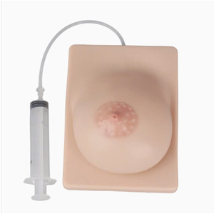 mô hình thông tắc sữa