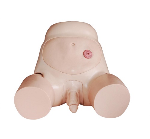 Mô hình đặt sonde tiểu nam