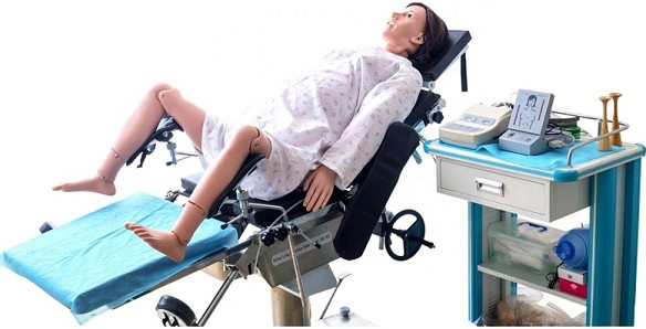 Mô hình thực hành đỡ đẻ nâng cao GD/F55