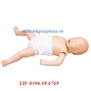 Mô hình thực hành hồi sức tim phổi trẻ em GD/CPR10150