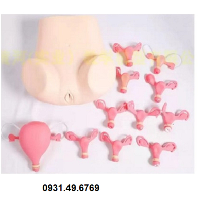 MÔ HÌNH THỰC HÀNH KHÁM PHỤ KHOA