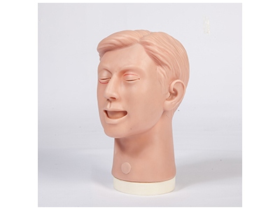 Mô hình thực hành khâu nhãn khoa