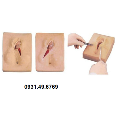 MÔ HÌNH THỰC HÀNH KHÂU TẦNG SINH MÔN HONGLIAN GD/F3B