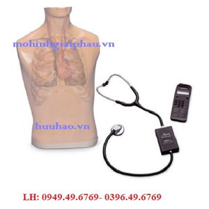 Mô hình thực hành nghe tim phổi Model: LF01172(EX)