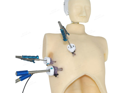 Mô hình thực hành nội soi đa năng