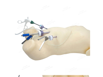 Mô hình thực hành nội soi đa năng