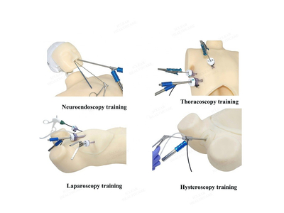 Mô hình thực hành nội soi đa năng