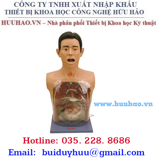 Mô Hình Rửa Dạ Dầy Trong Suốt - Hữu hảo