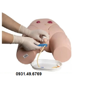 MÔ HÌNH THỰC HÀNH ĐẶT ỐNG THÔNG TIỂU NAM HONGLIAN GD/H17E