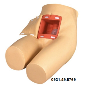 MÔ HÌNH THỰC HÀNH THỤT THÁO HONGLIAN GD/H35