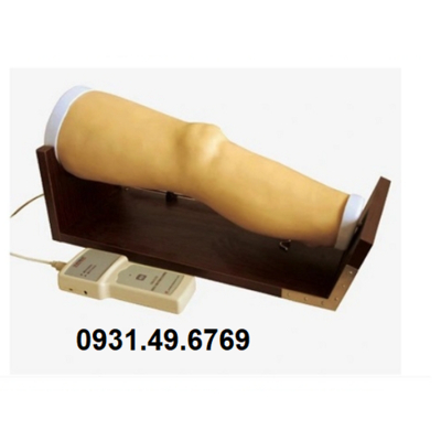 MÔ HÌNH THỰC HÀNH TIÊM KHỚP GỐI ĐIỆN TỬ HONGLIAN GD/L72