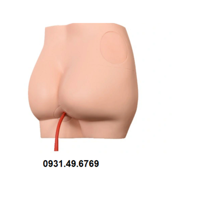 MÔ HÌNH THỰC HÀNH TIÊM MÔNG