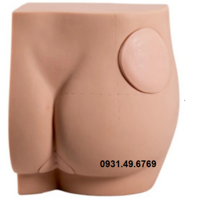 MÔ HÌNH THỰC HÀNH TIÊM MÔNG HONGLIAN GD/HS10D