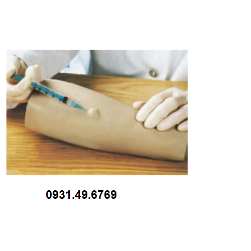 MÔ HÌNH TIÊM TRONG DA HONGLIAN GD/HS12