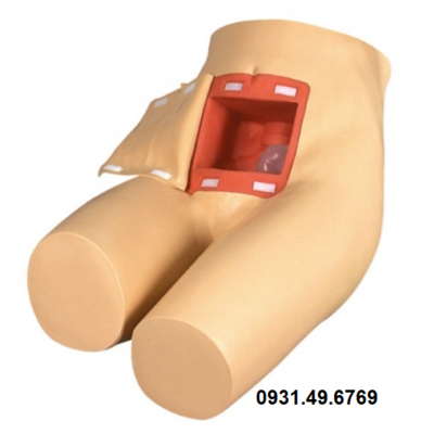 MÔ HÌNH THỰC HÀNH THỤT THÁO HONGLIAN GD/H35