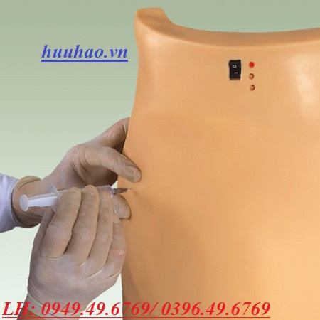 Mô hình tiêm bắp mông điện tử