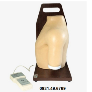 MÔ HÌNH TIÊM NỘI KHỚP VAI ĐIỆN TỬ NÂNG CAO HONGLIAN GD/L70