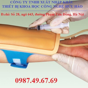 KIT MÔ HÌNH TIÊM TĨNH MẠCH