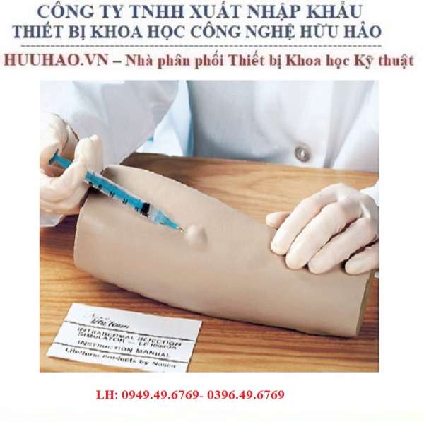 MÔ HÌNH THỰC HÀNH TIÊM TRONG DA LF01008 NASCO