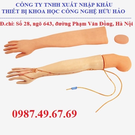 MÔ HÌNH TIÊM TRUYỀN TĨNH MẠCH