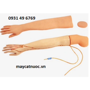 Mô hình tiêm truyền tĩnh mạch cánh tay GD/HS2