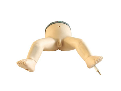 Mô hình tủy xương trẻ sơ sinh