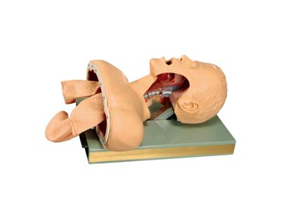 Mô phỏng đặt nội khí quản