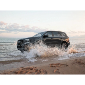 Everest Platinum 2.0L 10AT 4X2