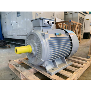 Motor 3 pha 22kW 30HP 4 cực vỏ gang Trung Quốc