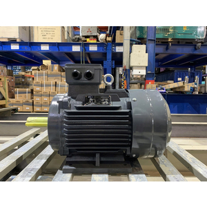 Motor 3 pha 3kW 4HP 4 cực vỏ gang Trung Quốc