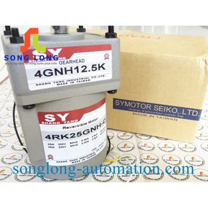 MOTOR SHANG YANG 4RK25GNH-C
