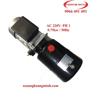 MOTOR BƠM THỦY LỰC XE NÂNG ĐIỆN AC 220V 0.75KW