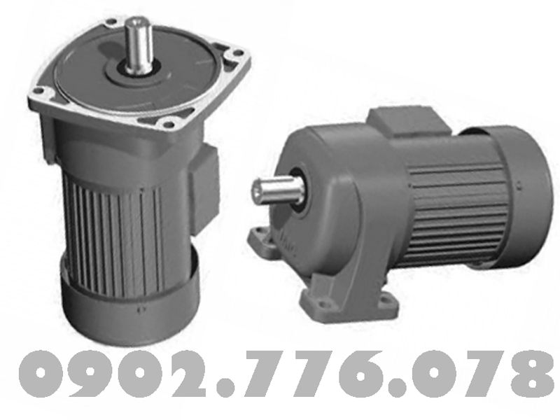 Motor giảm tốc (động cơ liền hộp số) 0.4kW 1/2HP 1/50