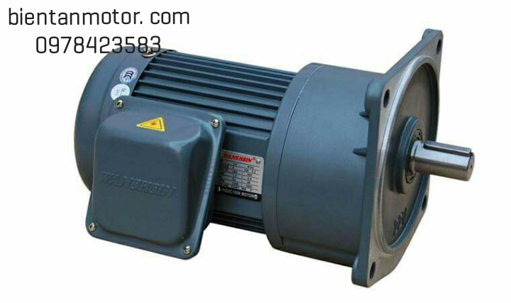 MOTOR GIẢM TỐC, MOTOR GIẢM TỐC WASHIN 200W, 1/4HP, TỶ SỐ TRUYỀN 1/3--1/200, MẶT BÍCH