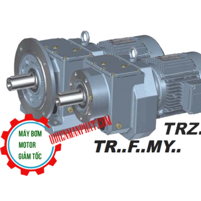 Motor Giảm Tốc Tải Nặng Đầu Vuông TR/TRF