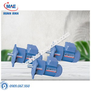 Motor giảm tốc Tunglee PL18-0100-30S3