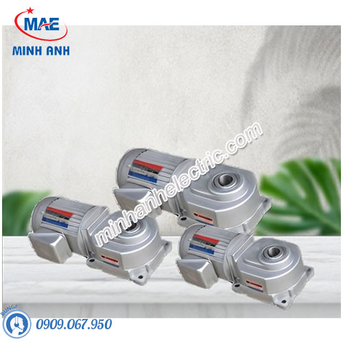 Motor giảm tốc Tunglee TL4060-0100-30S3(~300S3)