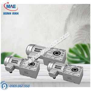 Motor giảm tốc Tunglee TL4070-0200-30S3(~300S3)