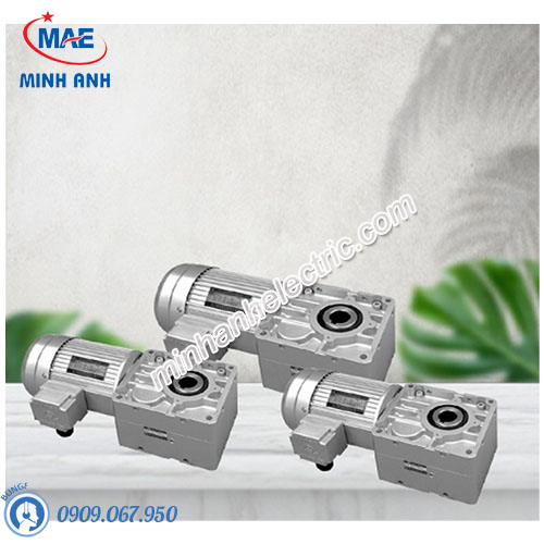 Motor giảm tốc Tunglee TL4070-0400-30S3(~300S3)