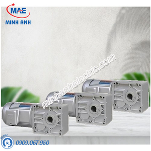 Motor giảm tốc Tunglee TL5080-1500-30S3(~300S3)