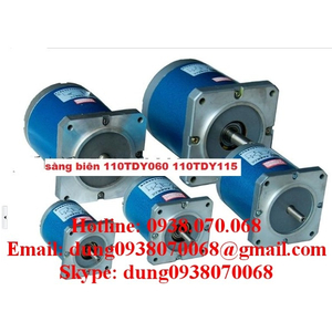 Motor sàng biên , canh biên 110TDY060-110TDY115
