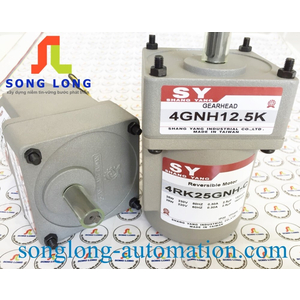 MOTOR SHANG YANG 4RK25GNH-C