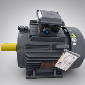 Motor TECO 11kW 15HP 4 cực chân đế IE2