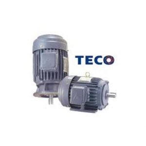 Motor TECO