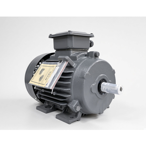 Motor TECO 2,2kW 3HP 4 cực chân đế IE2