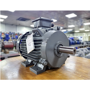 Motor TECO 4kW 5,5HP 4 cực chân đế IE2